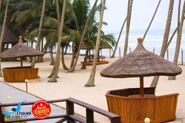 131050965 135897371628603 1799619016483431992 n 768x512