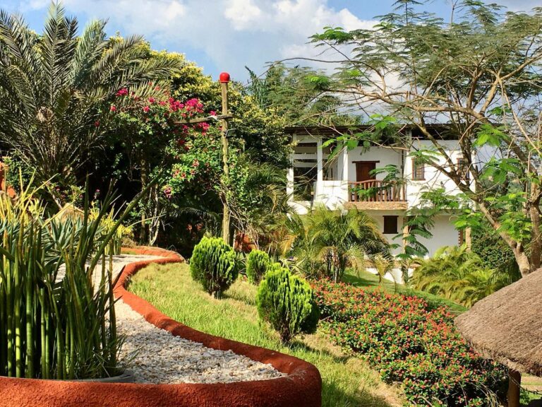 136184547 4287614941253733 7854409083109807296 n 768x576