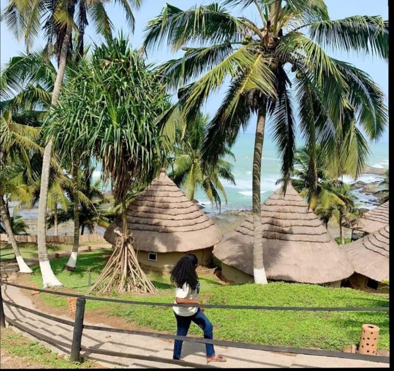 186529059 517066409706329 8062097138302011699 n 768x723