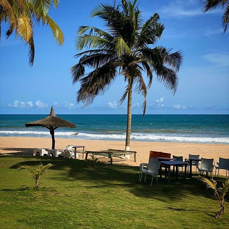 187555731 520827665996870 4667798193099708370 n 768x768