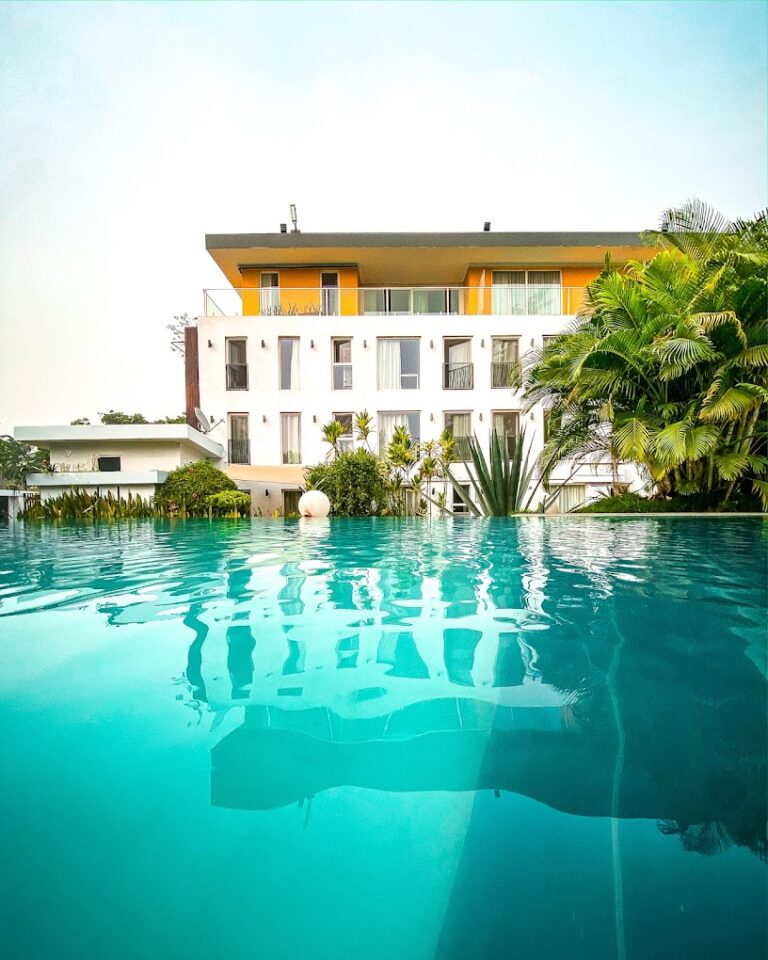 2021 08 14 3 768x960