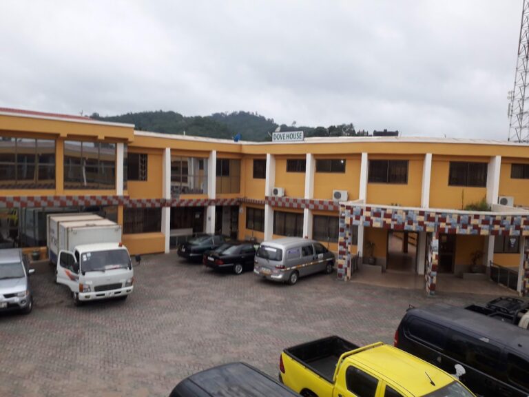 20220727 061836 768x576