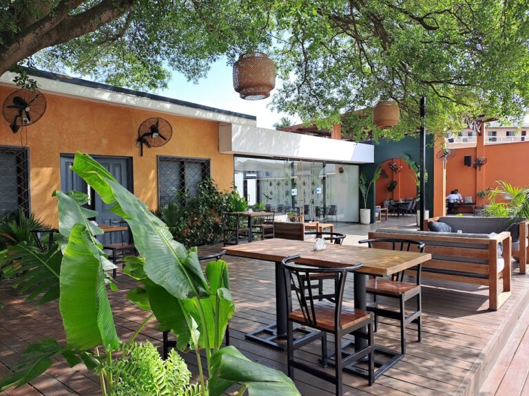 20221028 135600 768x576