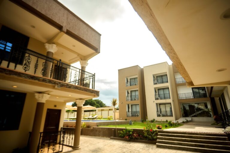 2024 08 28 7 768x512