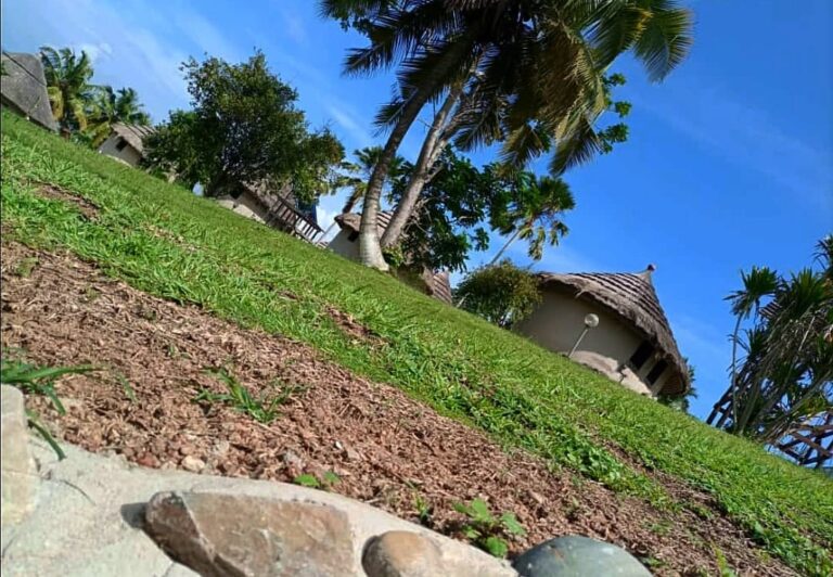 210010475 550527983026838 1937381995011497997 n 768x532