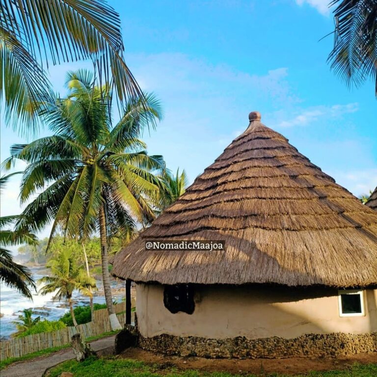 234975428 573057397440563 3848346547549659251 n 768x768