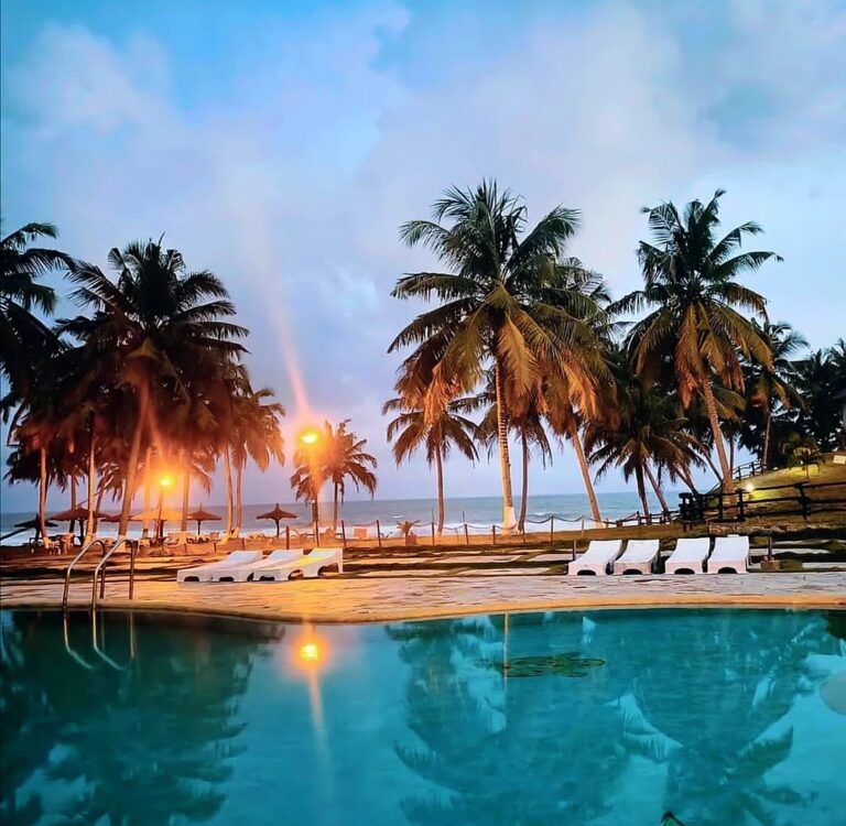 238900137 579312086815094 8489536860144326868 n 768x750