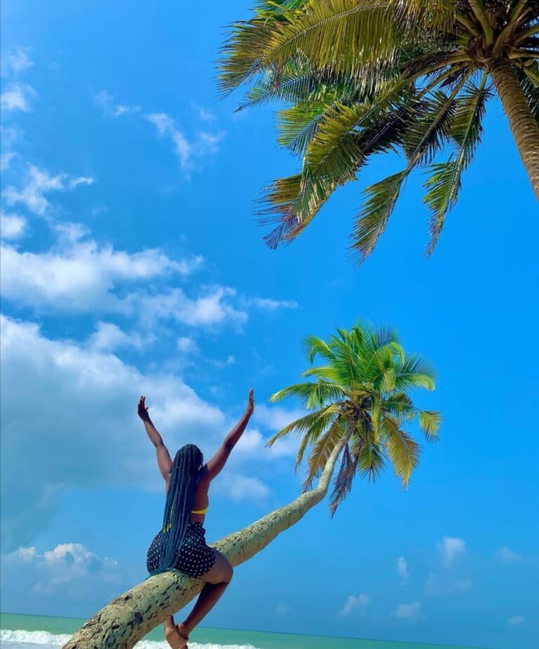 239022725 578328280246808 2683579314944155393 n 768x925