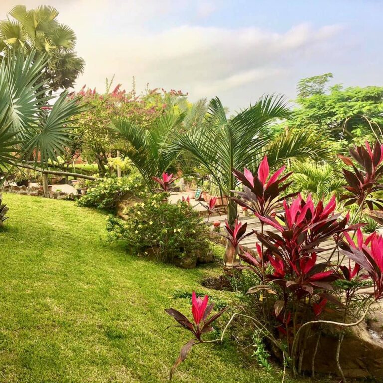 241814078 5026008897414330 9049417358739349867 n 768x768