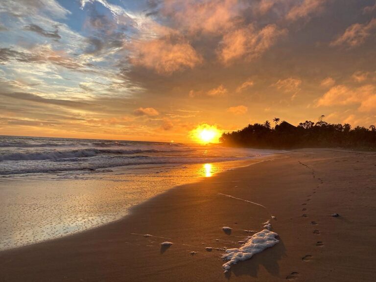 242822749 604332600979709 3168600330765699541 n 768x576