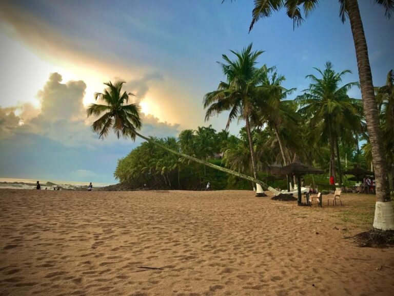 262095608 646181560128146 8017976724452280673 n 768x576