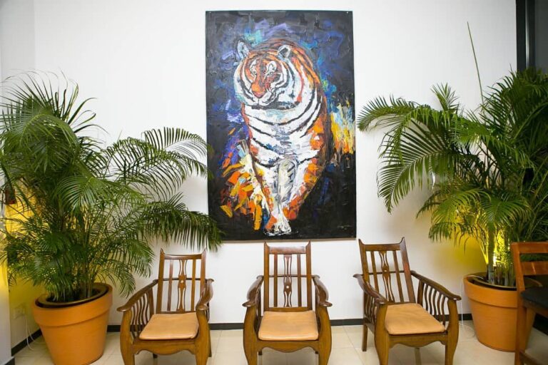 280195020 2765380073605358 4533741052988967454 n 768x512