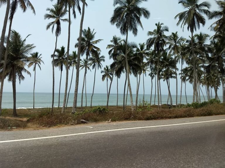 29571120 2182973905053856 6682814046803804524 n 768x576