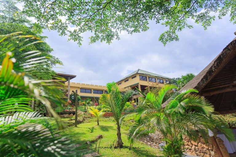 305116426 508836797911233 3911623169483346556 n 768x512