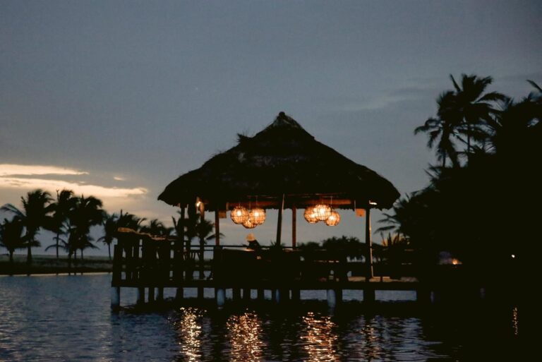 309658541 955250038751486 4028070872217152217 n 768x513