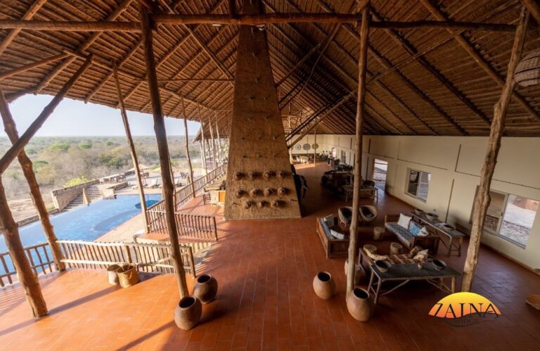 310531743 3250200835221578 7017362272506143708 n 768x499