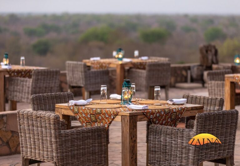 314893157 3284853381756323 8335951773825539094 n 768x533