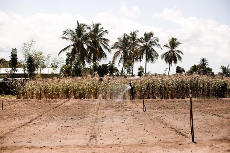 317975719 1009186740024482 7796809691672580670 n 768x512