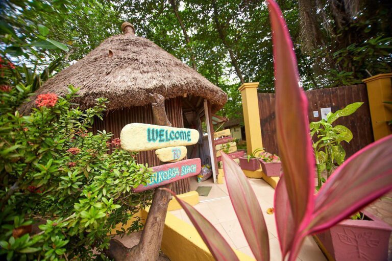 322721883 727203381903936 6599356360857808529 n 768x511