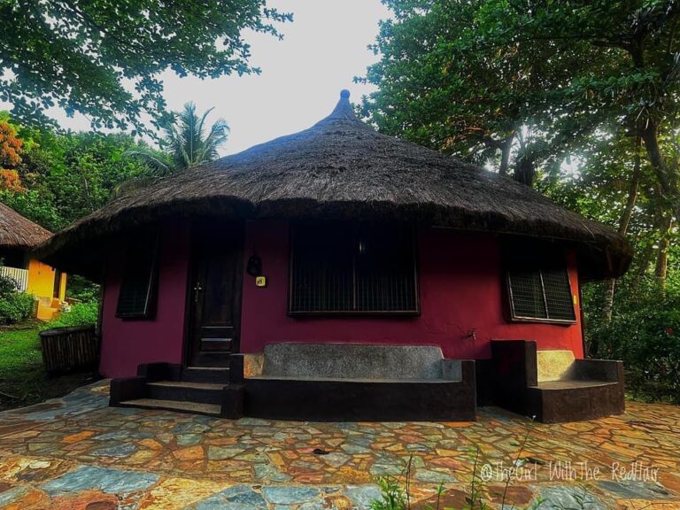 323266162 2154792248040849 8665466586037518090 n 768x576