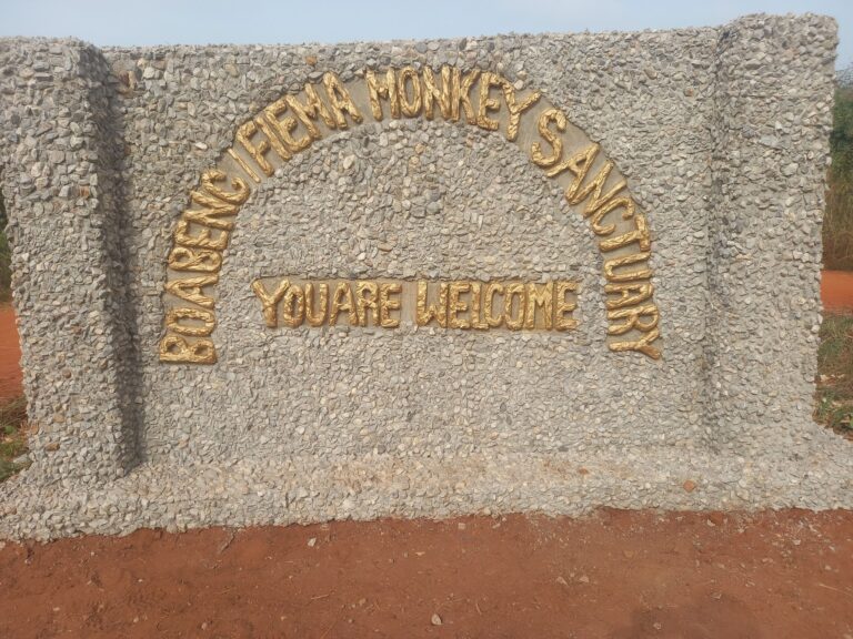 332260702 165882622923505 3366245965813717626 n 768x576