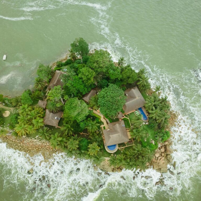 332927151 762459452179257 1344533477524129602 n 768x768