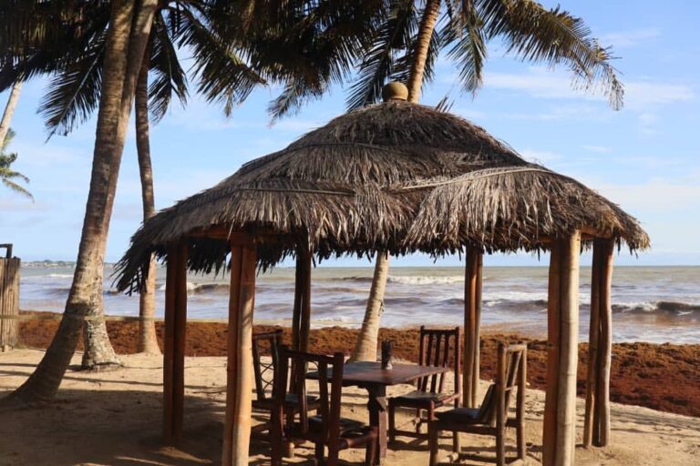 333816154 2065564250500398 8079018026893963932 n 768x512