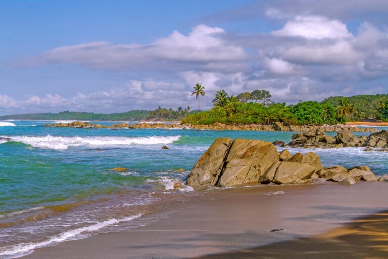 336798472 1183550065571758 1362626300063140556 n 768x512