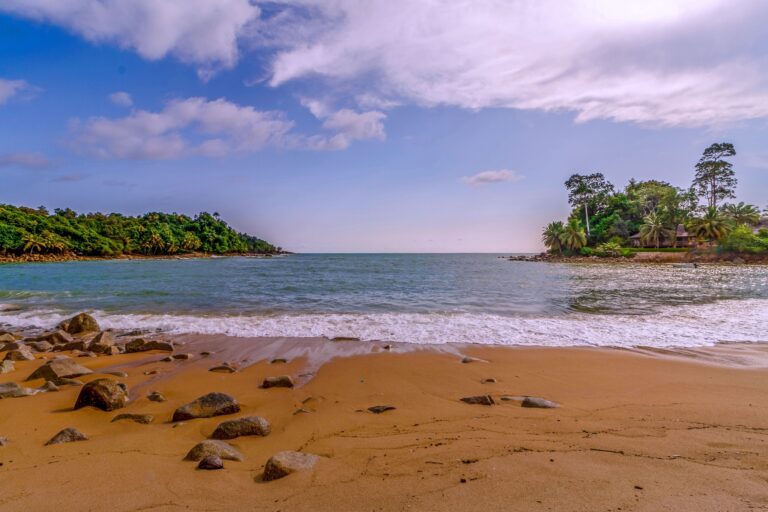 337144020 989732685737257 4834050405151221359 n 768x512