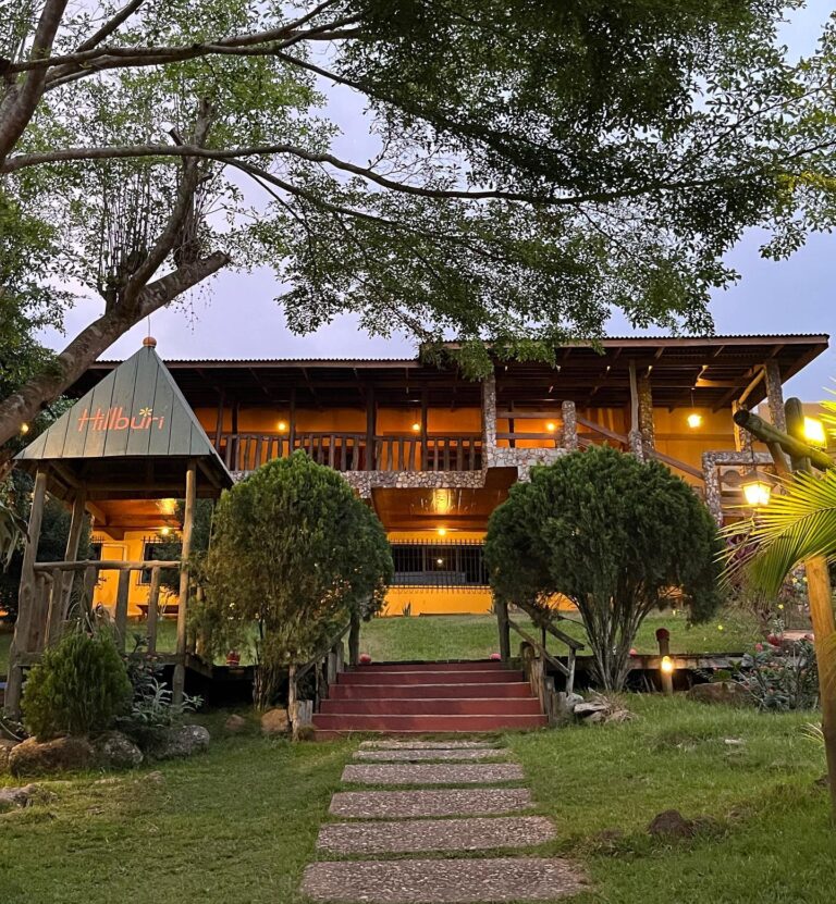 341525862 1160228977984802 2743872898778646770 n 768x831