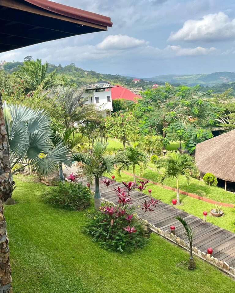 341526274 3581500372079758 45480731830266780 n 768x960