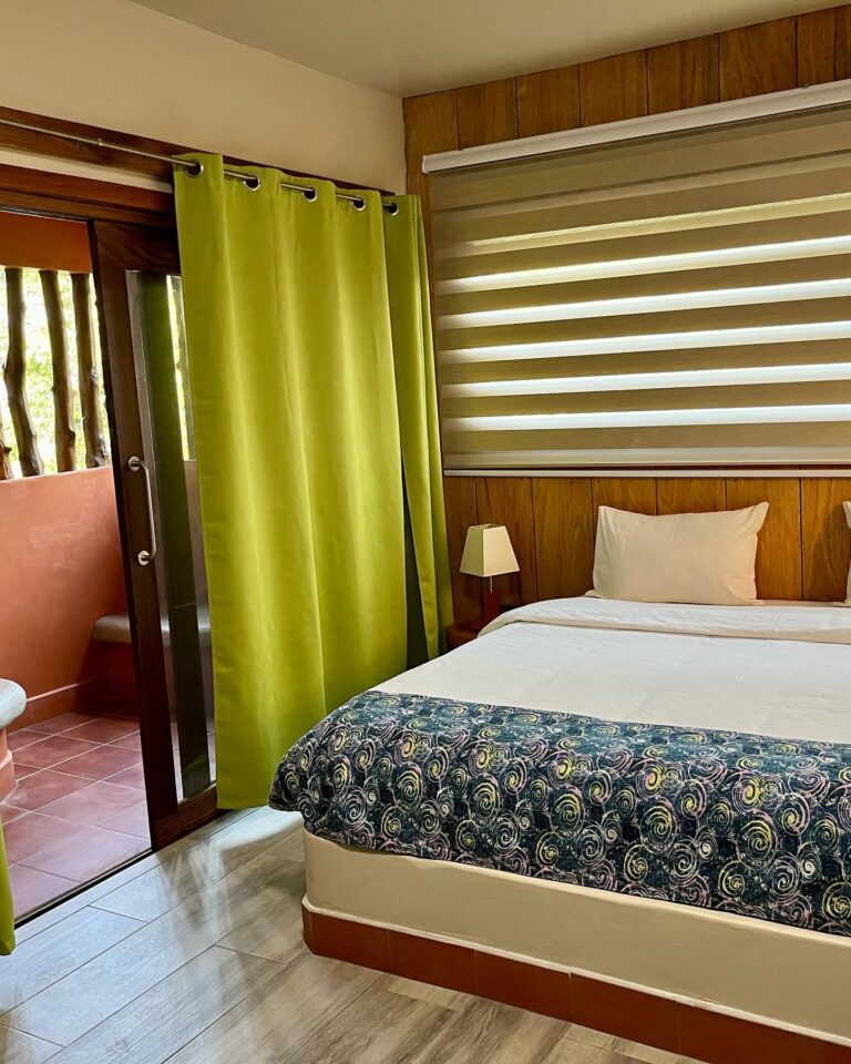 342203259 237409508774299 1806238412598246816 n 768x960