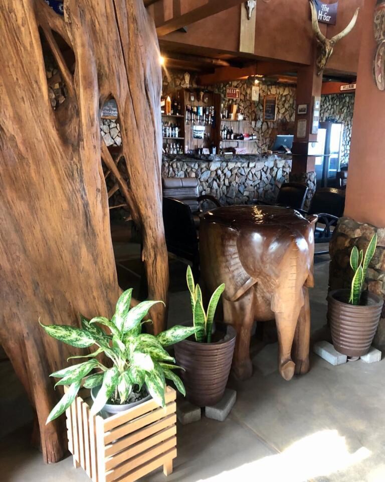 342345095 220374487276488 7960701168626523624 n 768x960