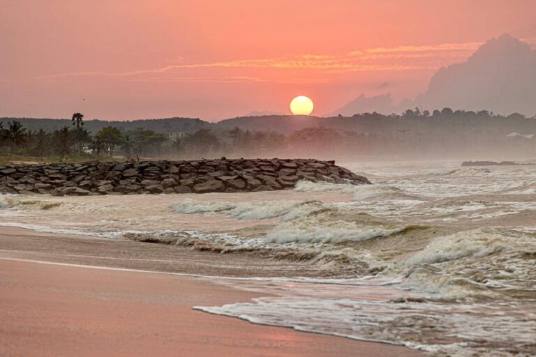 344199038 918186109391805 4779836356391206030 n 768x512