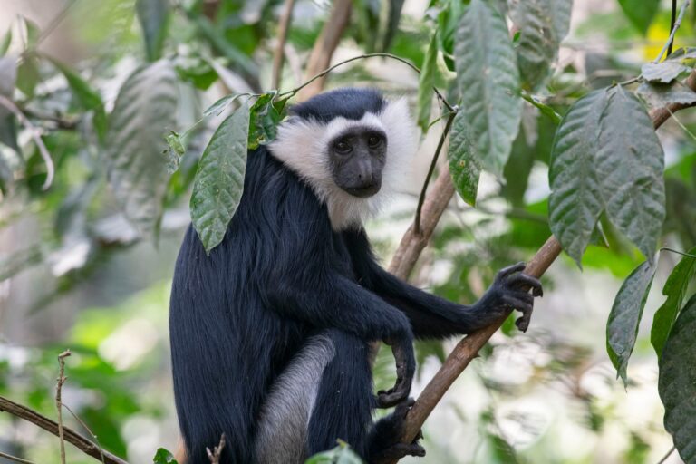 369531146 266513852811702 4490481063500551204 n 768x512