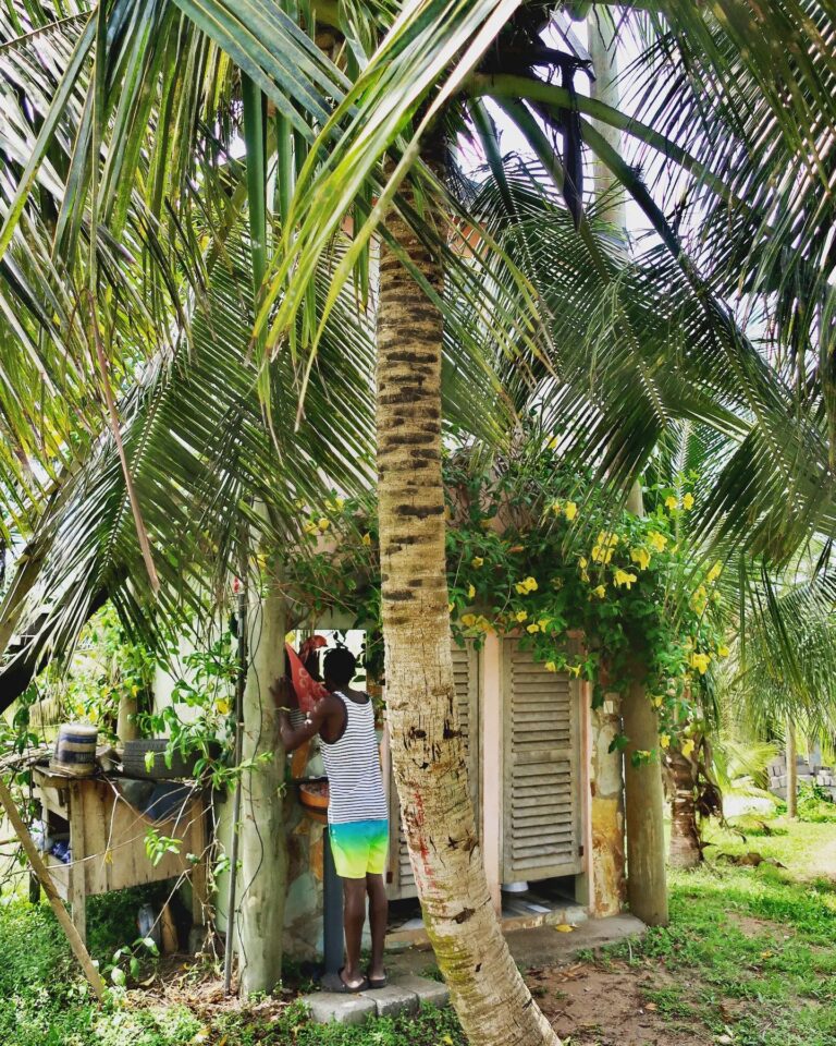 370377340 798889508903772 3569835595333031421 n 768x960