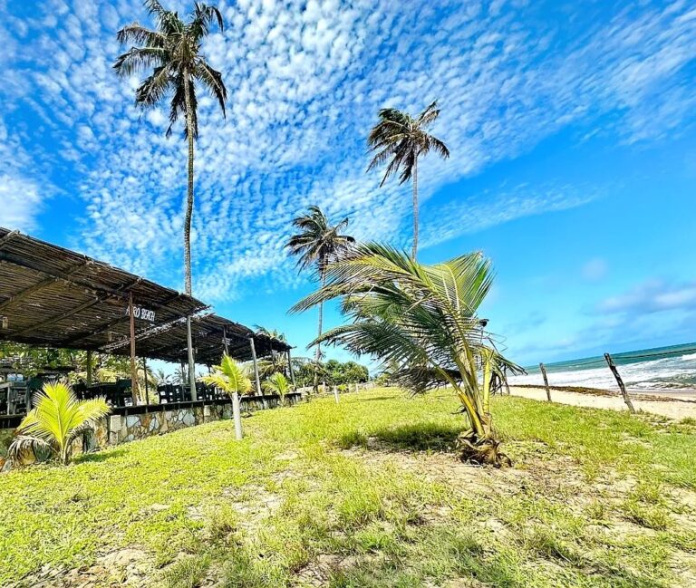 391616200 830287905763932 4272969522055219341 n 768x649