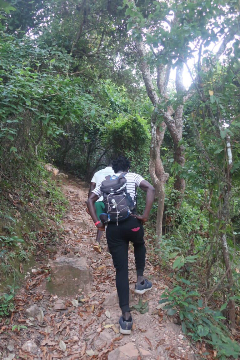 401756504 850772437048812 8879366126941008827 n 768x1152