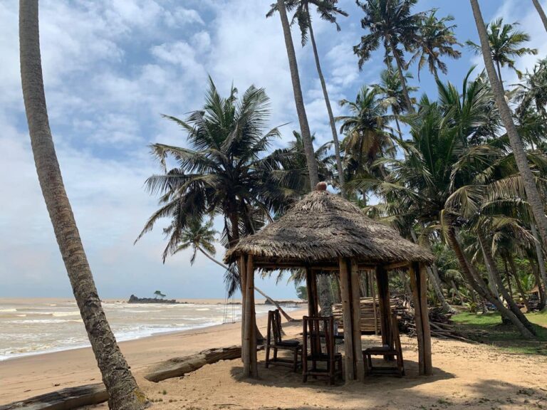 405772551 873325271464362 611528776669804036 n 768x576