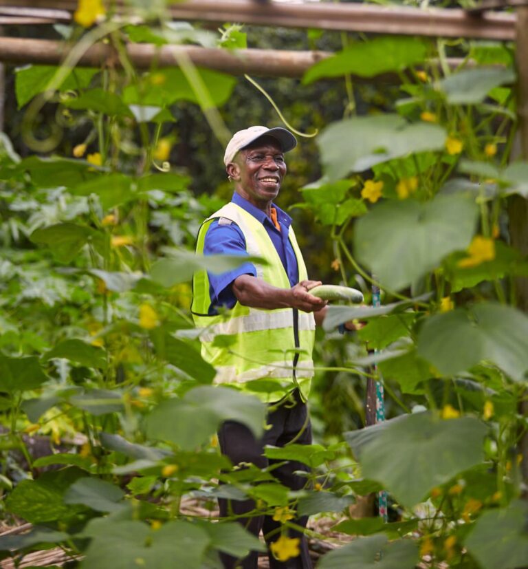 407408268 878329067630649 8640180508859236802 n 768x827