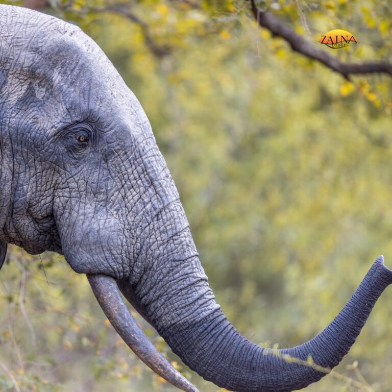 411318953 18401798887049330 3895069719177691873 n 768x768