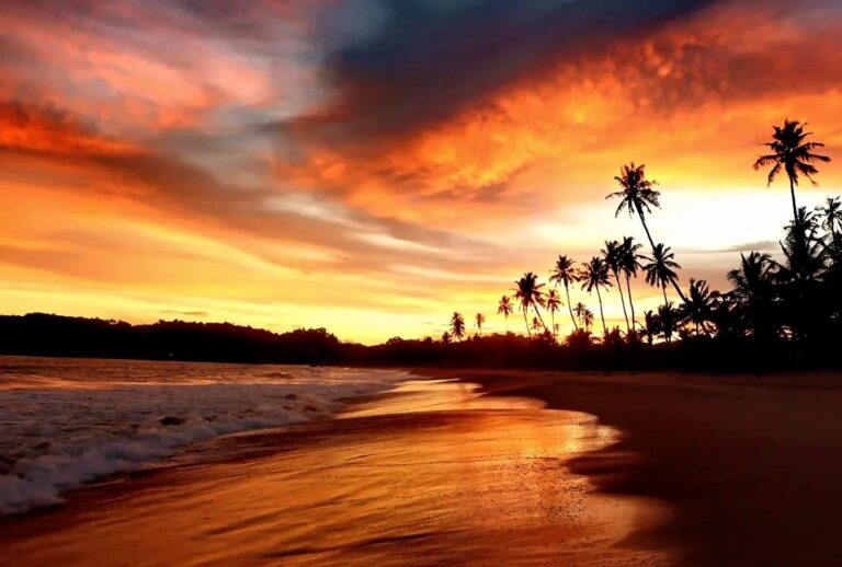 413014737 877380117721377 5085834497438287521 n 768x518