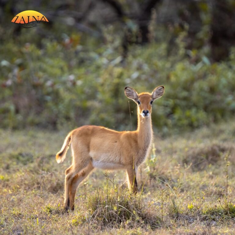 421567629 18409030918049330 8329254112457545934 n 768x768