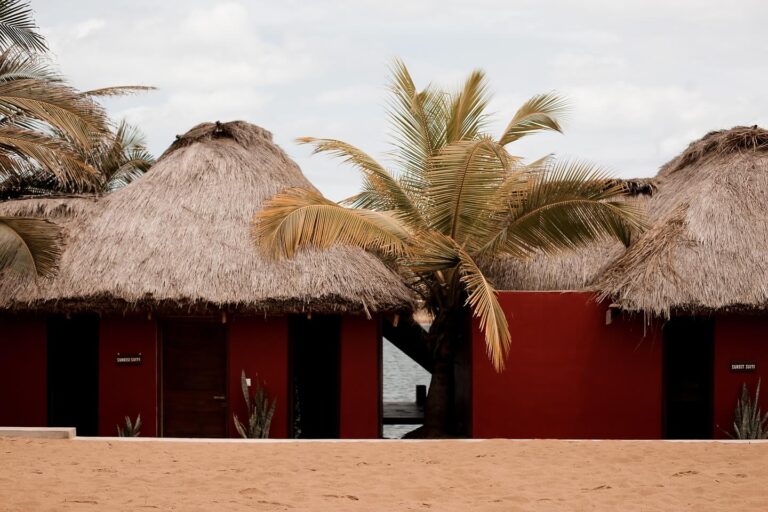 439157580 18430670455041422 756947102712841112 n 768x512