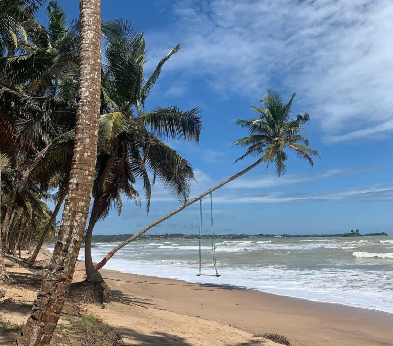 441963572 18331293847186752 616304288591760109 n 768x677