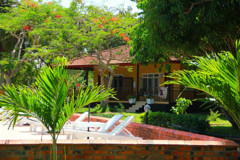 447744721 968038151999036 1283663508569925795 n 768x512