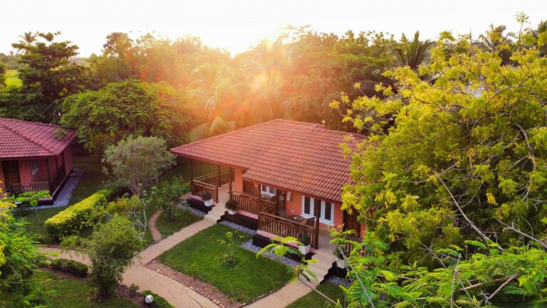 447756730 968038681998983 2059436865059121249 n 768x432