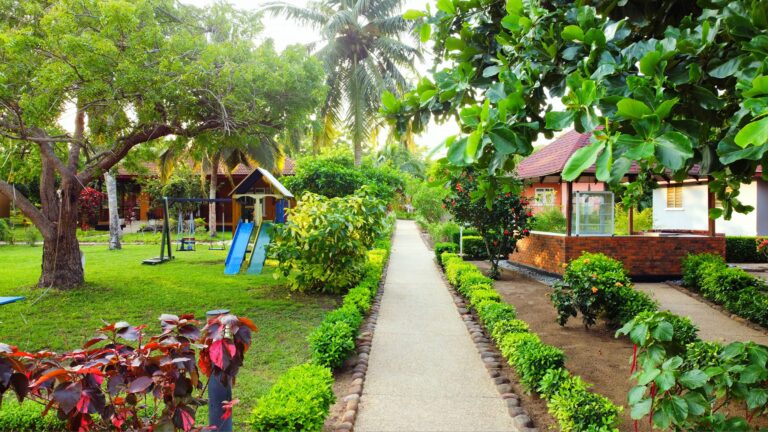 447775642 968039495332235 2258793619990125521 n 768x432