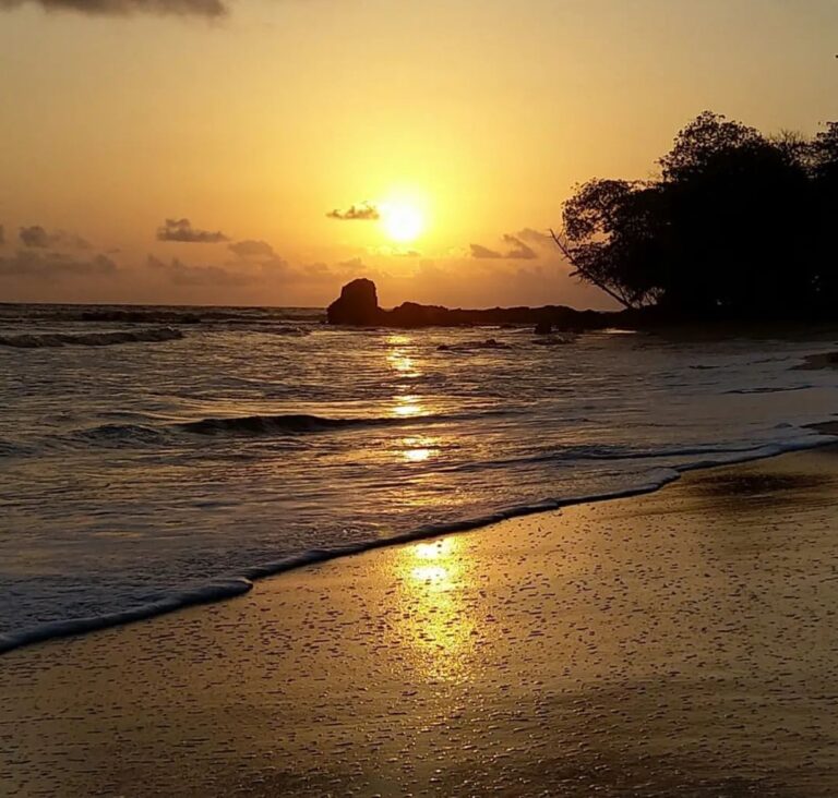 449029175 18337363423186752 1947692951208341555 n 768x732