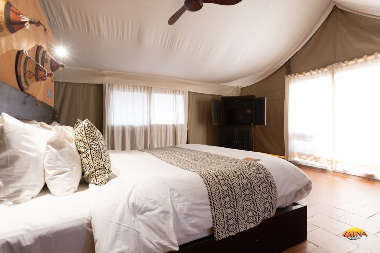 461104093 18457773016049330 3208700743803303523 n 768x511